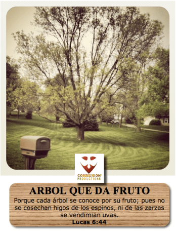 Arbol que da fruto